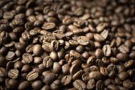 A close-up of freshly roasted coffee beans